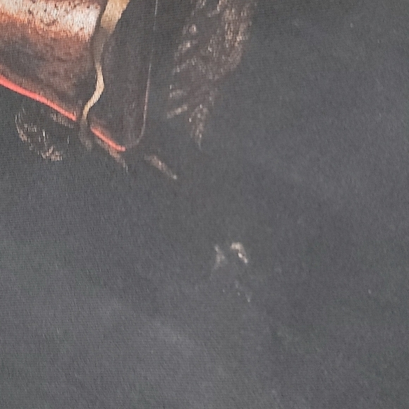 Hellanbach Sleeveless Button Up - Picture 9 of 10